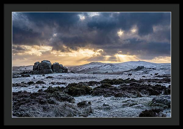 Dartmoors Winter Majesty
