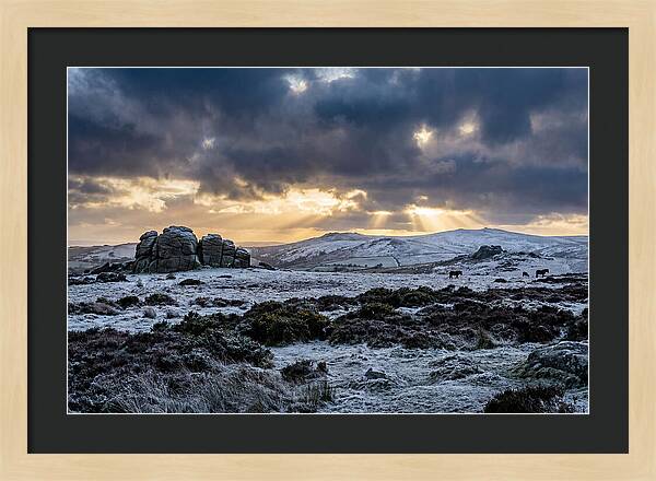 Dartmoors Winter Majesty