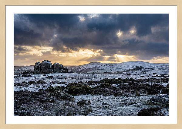 Dartmoors Winter Majesty