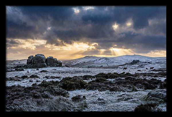 Dartmoors Winter Majesty