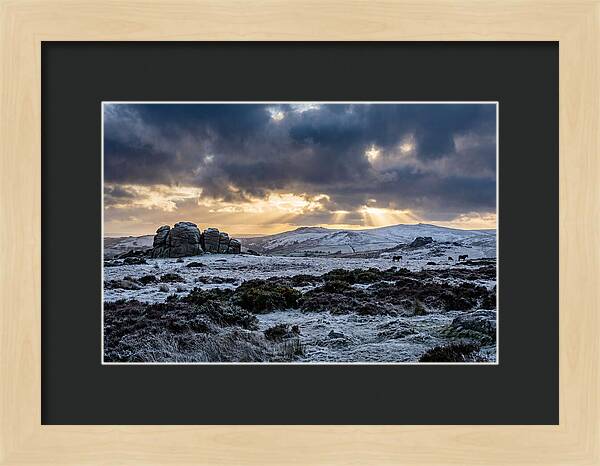 Dartmoors Winter Majesty