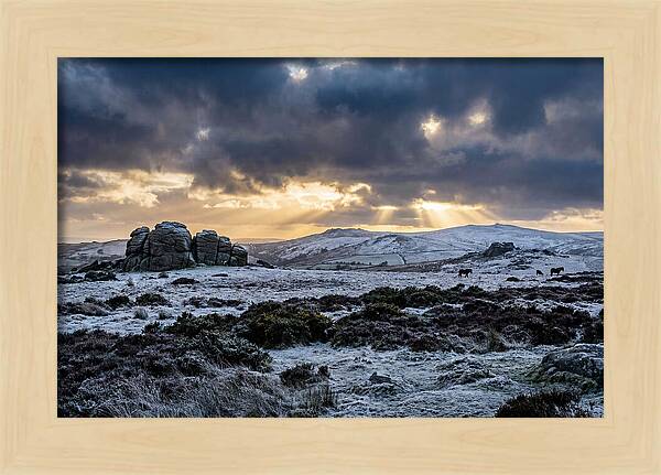 Dartmoors Winter Majesty