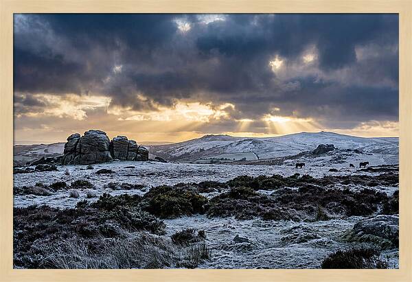 Dartmoors Winter Majesty