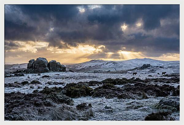 Dartmoors Winter Majesty