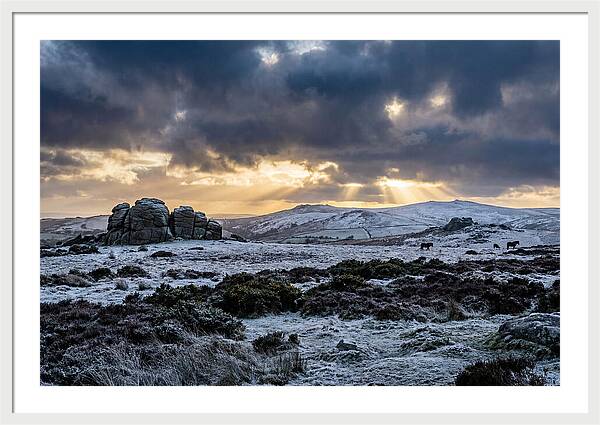 Dartmoors Winter Majesty
