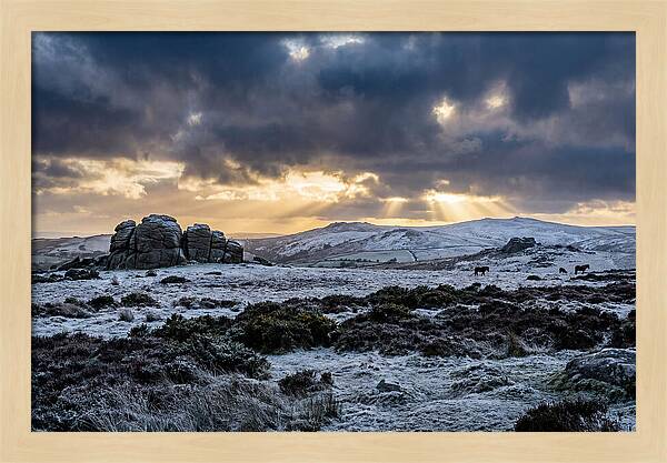 Dartmoors Winter Majesty
