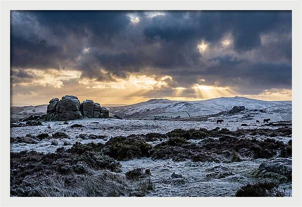 Dartmoors Winter Majesty