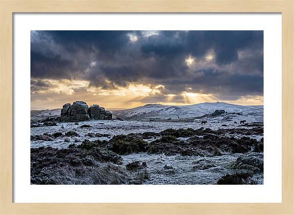 Dartmoors Winter Majesty