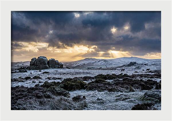 Dartmoors Winter Majesty