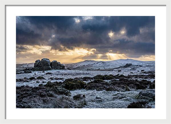 Dartmoors Winter Majesty