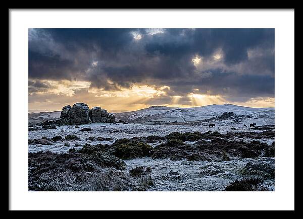 Dartmoors Winter Majesty
