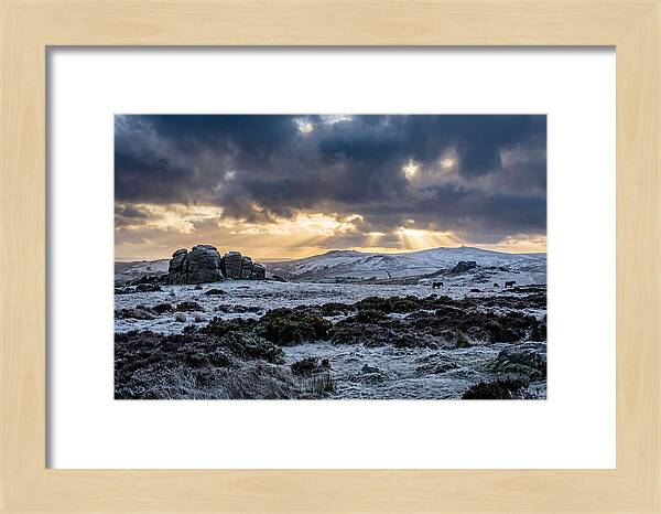 Dartmoors Winter Majesty