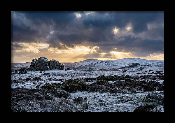 Dartmoors Winter Majesty