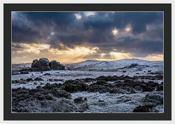 Dartmoors Winter Majesty