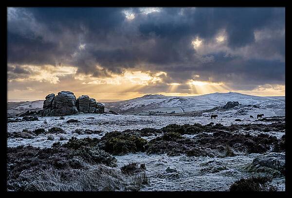Dartmoors Winter Majesty