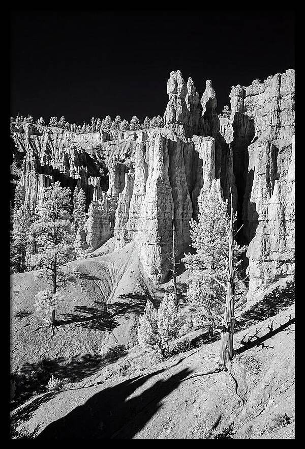 Dawn Breaking Over Bryce Canyon