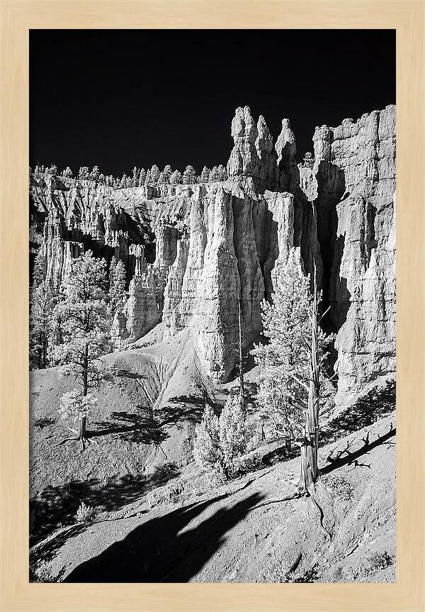 Dawn Breaking Over Bryce Canyon