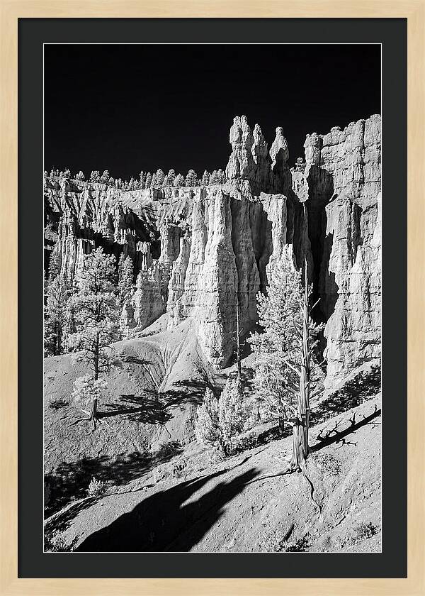 Dawn Breaking Over Bryce Canyon