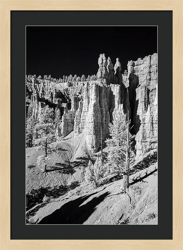 Dawn Breaking Over Bryce Canyon