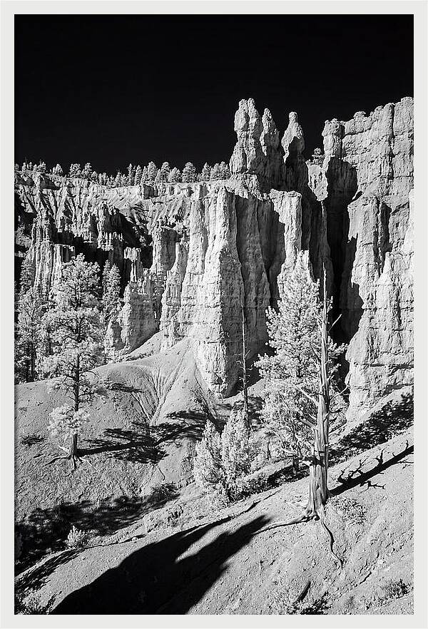 Dawn Breaking Over Bryce Canyon