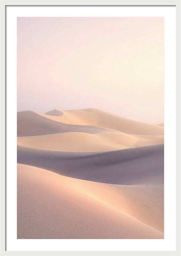 Dawn Light Over Mesquite Dunes