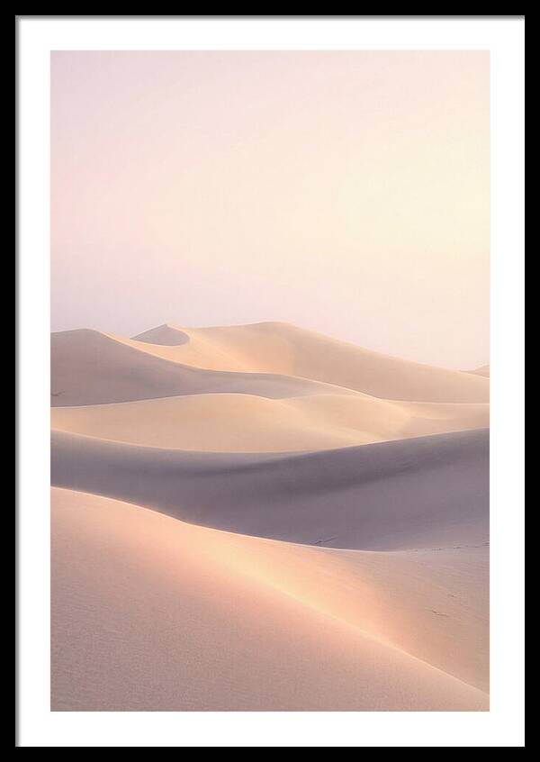 Dawn Light Over Mesquite Dunes
