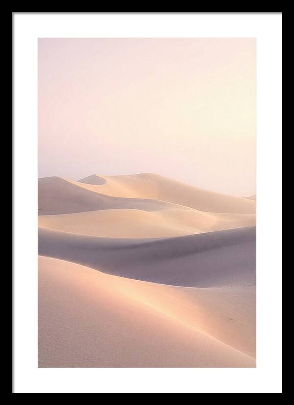Dawn Light Over Mesquite Dunes