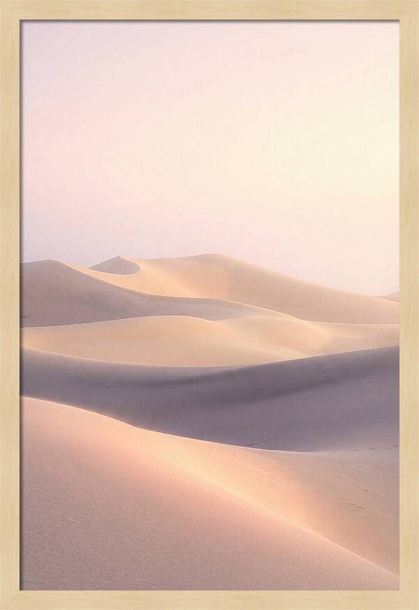 Dawn Light Over Mesquite Dunes