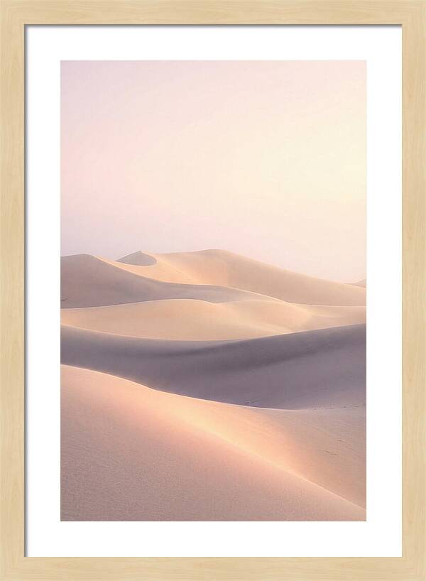 Dawn Light Over Mesquite Dunes