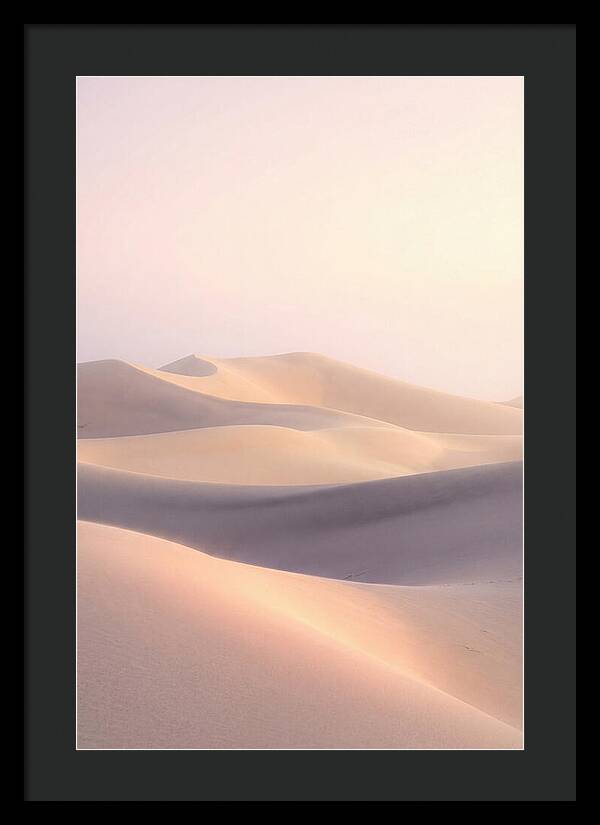 Dawn Light Over Mesquite Dunes