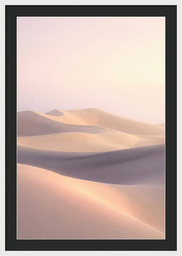 Dawn Light Over Mesquite Dunes