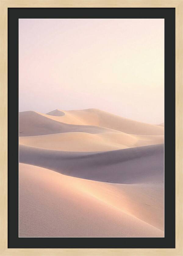 Dawn Light Over Mesquite Dunes