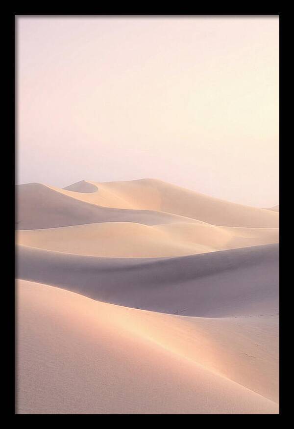 Dawn Light Over Mesquite Dunes