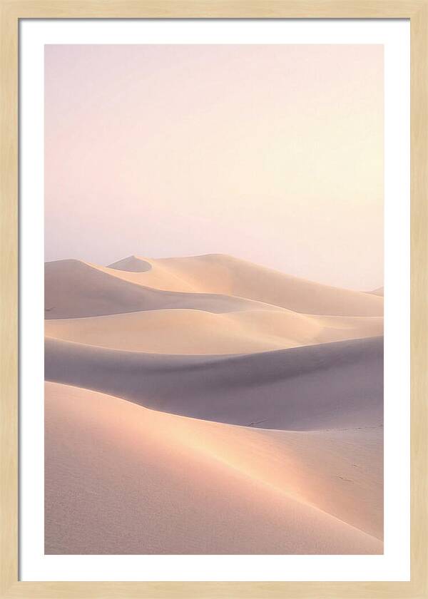 Dawn Light Over Mesquite Dunes