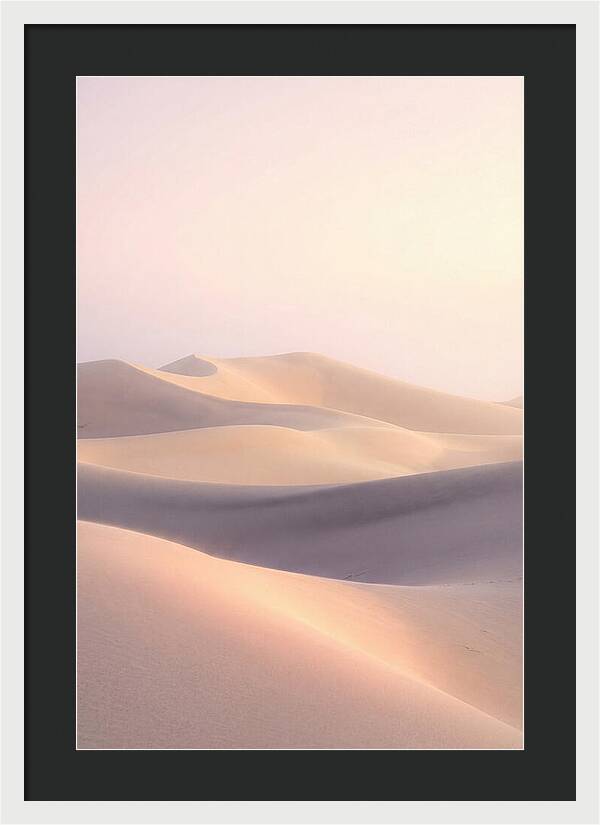 Dawn Light Over Mesquite Dunes