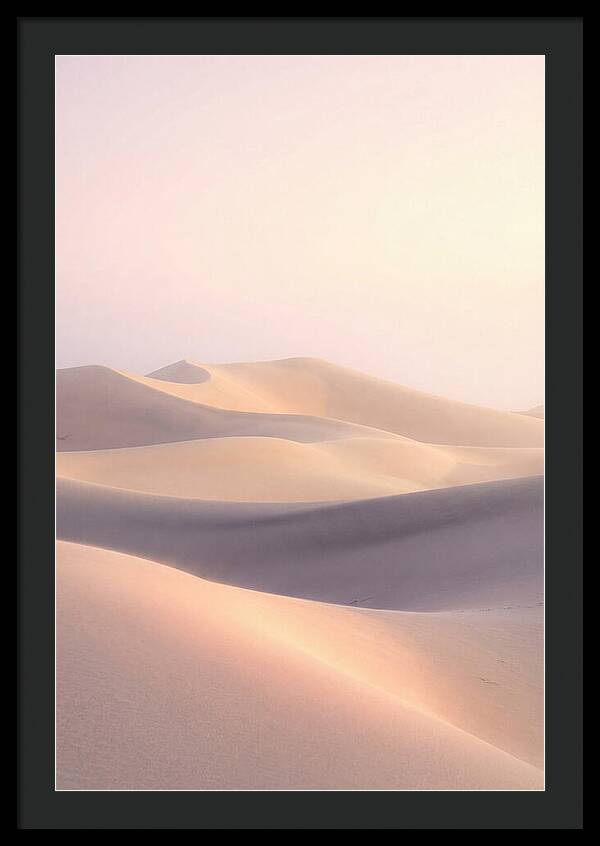Dawn Light Over Mesquite Dunes