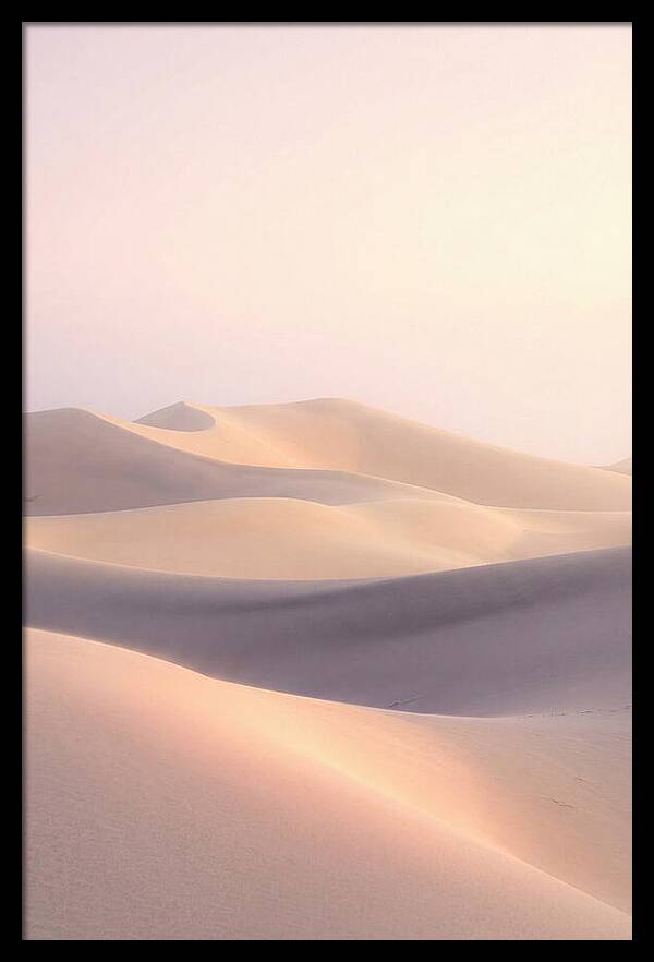 Dawn Light Over Mesquite Dunes