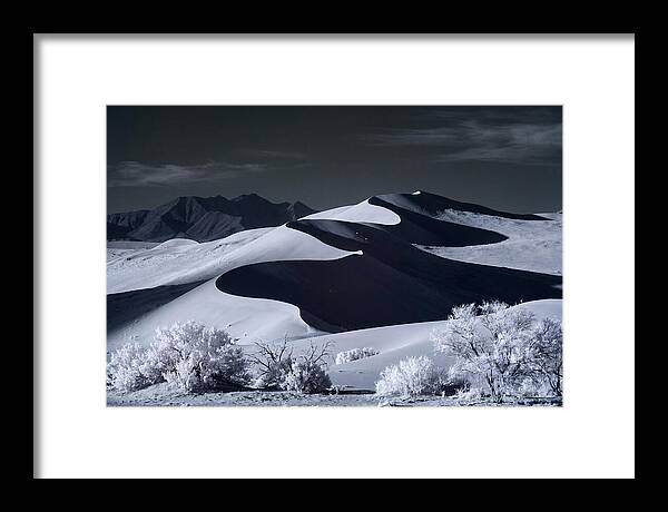 Dawn Over Sossusvlei Dunes