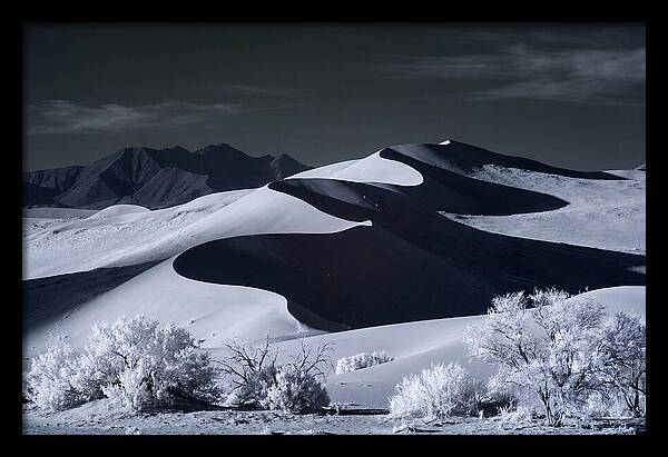 Dawn Over Sossusvlei Dunes