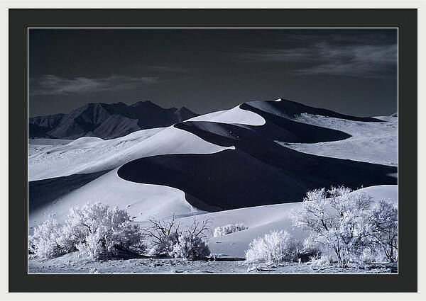 Dawn Over Sossusvlei Dunes
