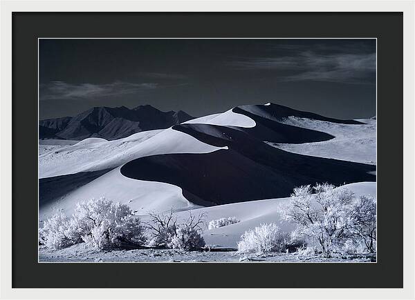 Dawn Over Sossusvlei Dunes