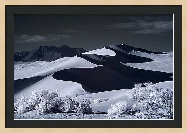Dawn Over Sossusvlei Dunes