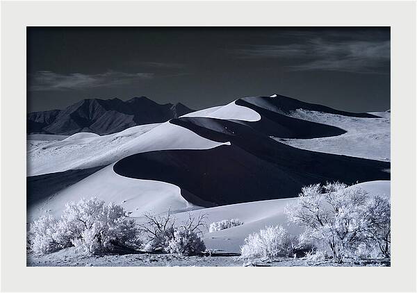 Dawn Over Sossusvlei Dunes