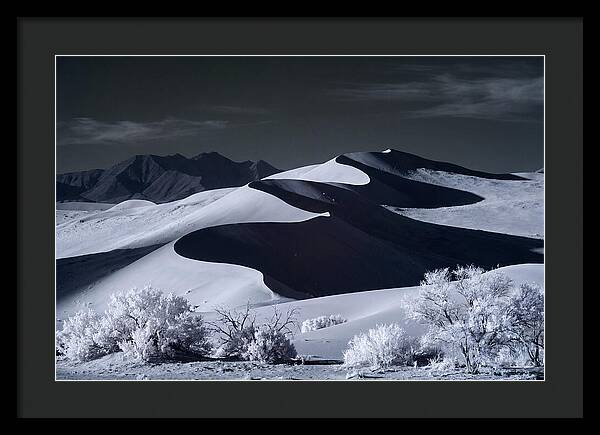Dawn Over Sossusvlei Dunes