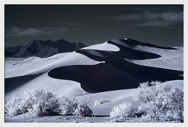 Dawn Over Sossusvlei Dunes
