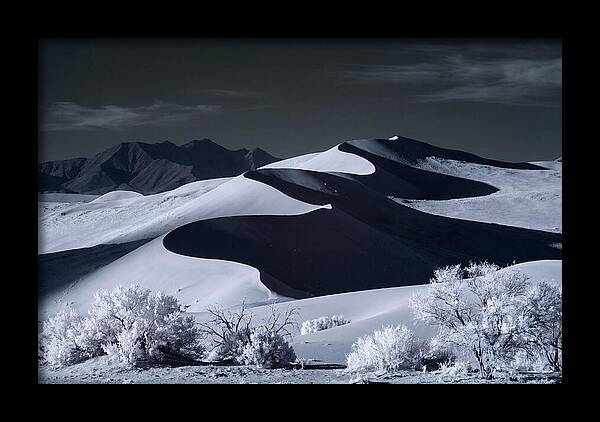 Dawn Over Sossusvlei Dunes