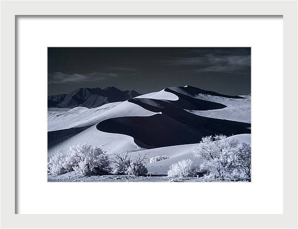 Dawn Over Sossusvlei Dunes