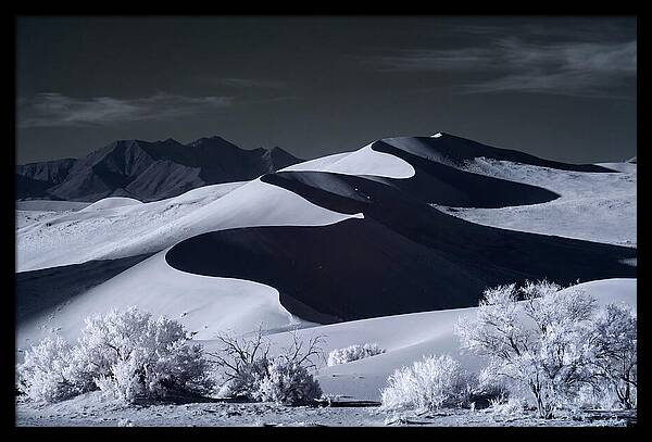 Dawn Over Sossusvlei Dunes