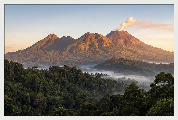 Dawn Over Virunga Mountains