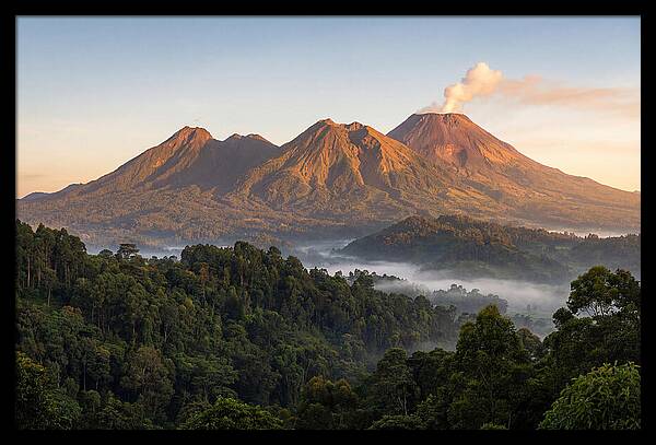 Dawn Over Virunga Mountains